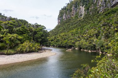 Paparoa Milli Parkı, Yeni Zelanda