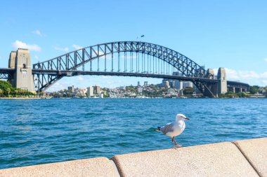 Sidney, Avustralya 'dan. 21 Şubat 2023: Sidney Opera Evi ve Limanı manzarası