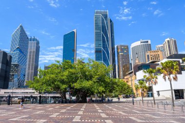 Sidney, Avustralya 'dan. 21 Şubat 2023: Sidney Opera Evi ve Limanı manzarası