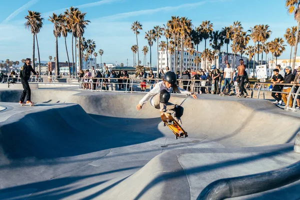⬇ Скачать Картинки Venice Beach Skatepark, Стоковые Фото Venice.