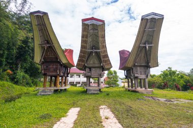 Ünlü Endonezya 'da Montana Toraja' nın geleneksel evleri