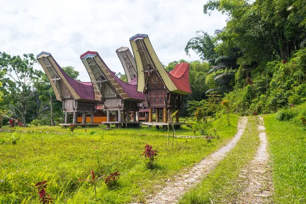Традиционные Дома Тана Тораджа Celebes Индонезия — стоковое фото