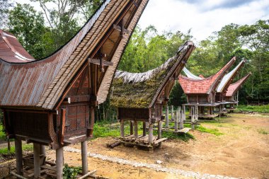 Londa Köyü, Endonezya 'da geleneksel Montana Toraja evleri