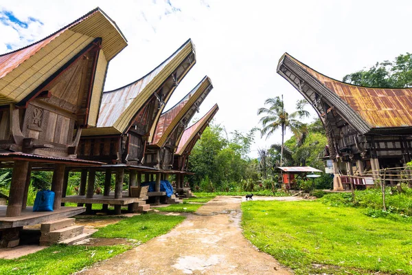 Традиционные Дома Тана Тораджа Деревне Лонда Индонезия — стоковое фото