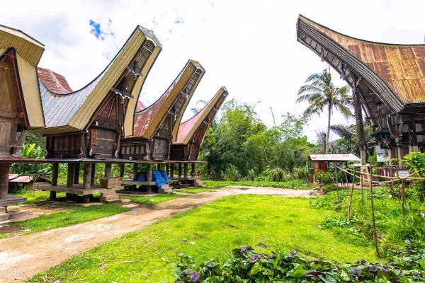 Tradycyjne Domy Tana Toraja Londa Wsi Indonezja — Zdjęcie stockowe