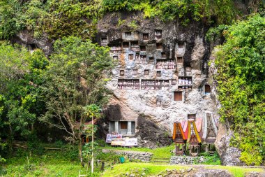 Lemo, Endonezya. 10 Nisan 2023: Montana Toraja, Endonezya 'daki lemo mezarlığı manzarası