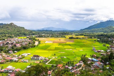 Geleneksel Montana Toraja Köyü, Endonezya