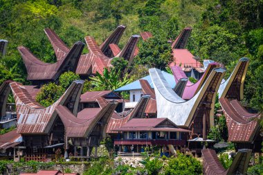 Geleneksel Montana Toraja Köyü, Endonezya