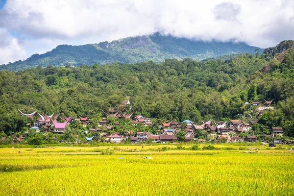 Aldeia Tradicional Terra Tana Toraja Indonésia — Fotografia de Stock