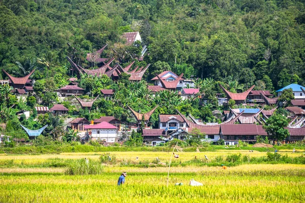 Tradycyjna Wieś Tana Toraja Ziemi Indonezja — Zdjęcie stockowe