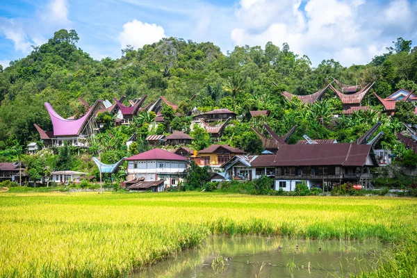 Stock image traditional village of tana toraja land, indonesia