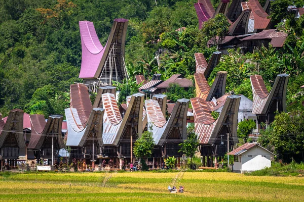 Традиционная Деревня Тана Тораджа Индонезия — стоковое фото