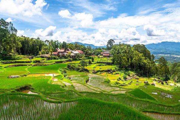 stock image tongkonan are the traditional houses in toraja main land