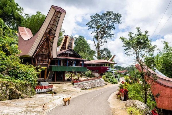 Тонгконан Являются Традиционными Домами Тораджа Основной Земли — стоковое фото