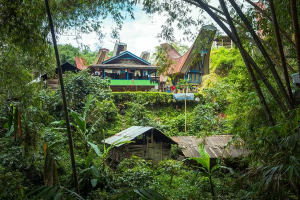 Tongkonan Zijn Traditionele Huizen Het Vasteland Van Toraja — Stockfoto