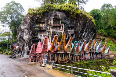 Montana Toraja, Endonezya 'daki lemo mezarlığı manzarası