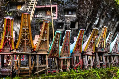 Montana Toraja, Endonezya 'daki lemo mezarlığı manzarası