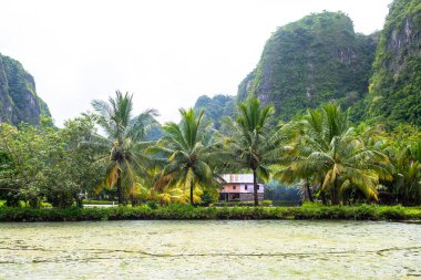 Endonezya, Sulawesi 'deki güzel ramang ramang kasabası