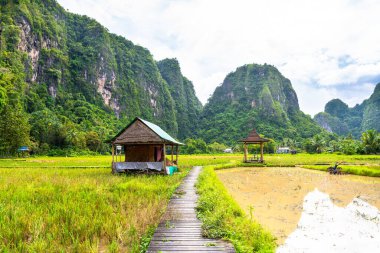 Endonezya, Sulawesi 'deki güzel ramang ramang kasabası