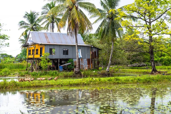 stock image beautiful town of ramang ramang in sulawesi, indonesia