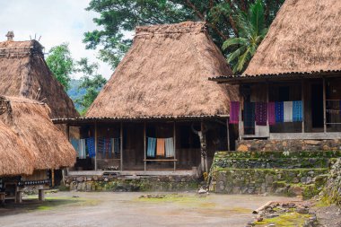 Flores Adası, Endonezya 'daki geleneksel sazdan çatı köyü Luba