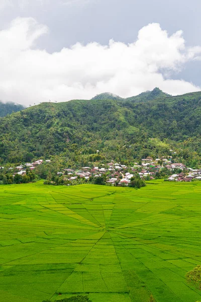 印度尼西亚巴里稻田的全景全景 — 图库照片