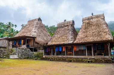 Flores Adası, Endonezya 'daki geleneksel sazdan çatı köyü Luba