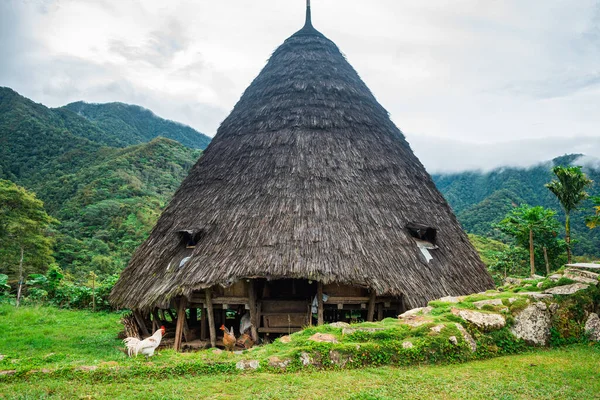 Stock image views of wae rebo village, indonesia