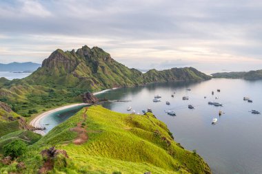 Komodo Ulusal Parkı, Endonezya 'daki Padar Adası manzarası