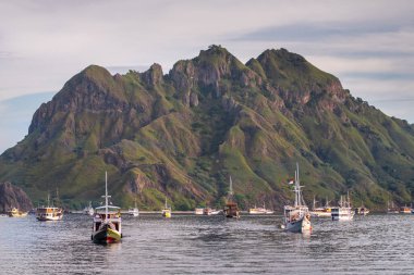 cruise tour at komodo national park, indonesia clipart