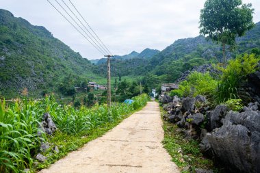 Kuzey Vietnam 'ın panoramik görüntüsü