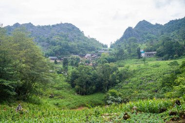 Kuzey Vietnam 'ın panoramik görüntüsü