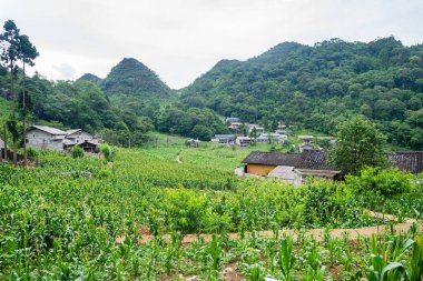 Kuzey Vietnam 'ın panoramik görüntüsü