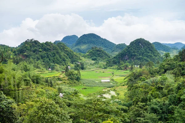 Vista Panorámica Del Bucle Gian Vietnam Septentrional —  Fotos de Stock
