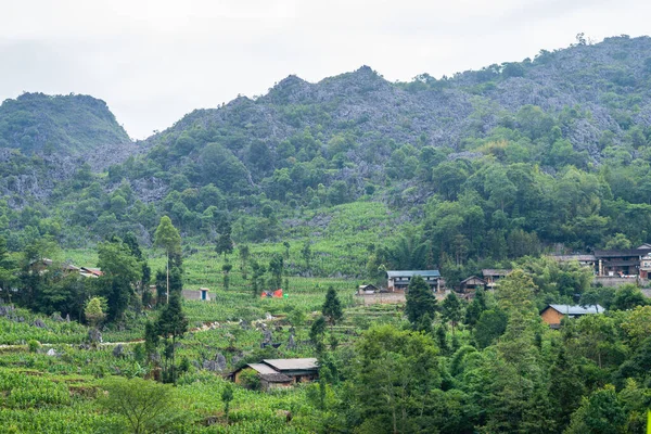 Panoramautsikt Över Öglan Norra Vietnam — Stockfoto