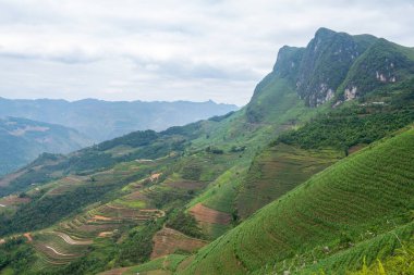  Kuzey Vietnam 'ın panoramik görüntüsü