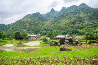 Kuzey Vietnam 'ın panoramik görüntüsü