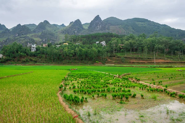 ベトナム北部のHa Gianループのパノラマビュー — ストック写真