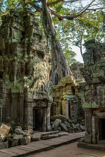Úžasných Chrámech Angkor Wat Kambodži — Stock fotografie