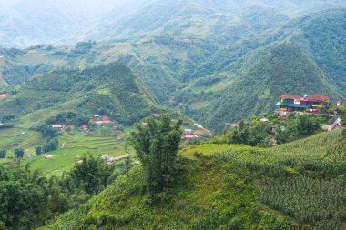 Vietnam 'da, Sa pa Vadisi' nde kırsal alan