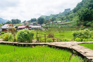 Vietnam 'da, Sa pa Vadisi' nde kırsal alan