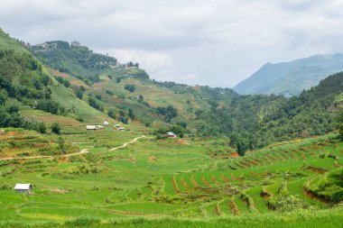 Vietnam 'da, Sa pa Vadisi' nde kırsal alan