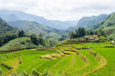 Vietnam 'da, Sa pa Vadisi' nde kırsal alan