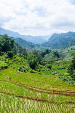 Vietnam 'da, Sa pa Vadisi' nde kırsal alan