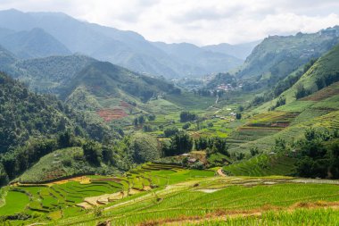 Vietnam 'da, Sa pa Vadisi' nde kırsal alan