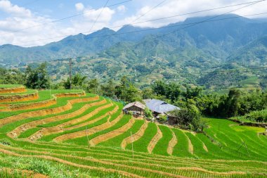 Vietnam 'da, Sa pa Vadisi' nde kırsal alan