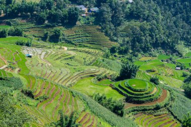 Vietnam 'da, Sa pa Vadisi' nde kırsal alan