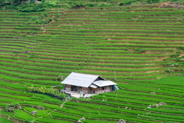 越南Sa Pa山谷的乡村景观 — 图库照片