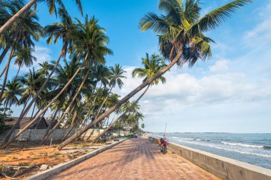 Mui ne plajı, Vietnam manzarası