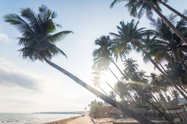 Mui ne plajı, Vietnam manzarası